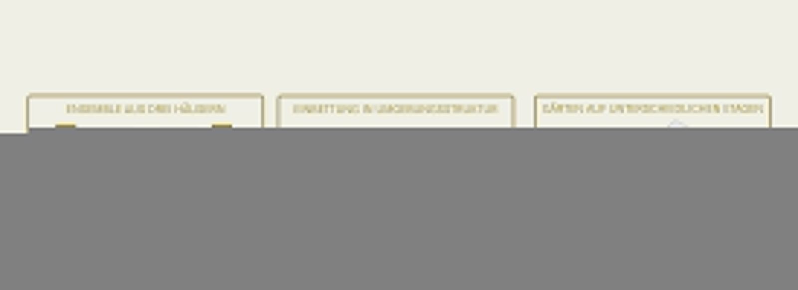 300011-Slider